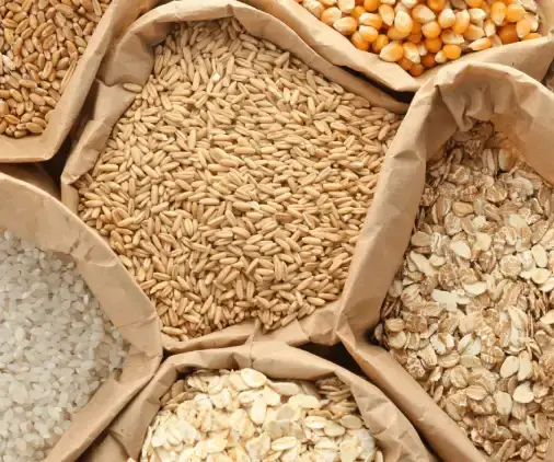 Millets (Bajra, Jowar, Ragi, Foxtail, Little & Barnyard Millet)