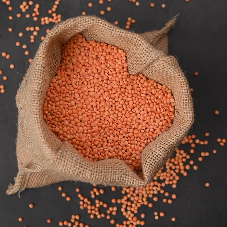 Premium Masoor Dal (Red Lentils)