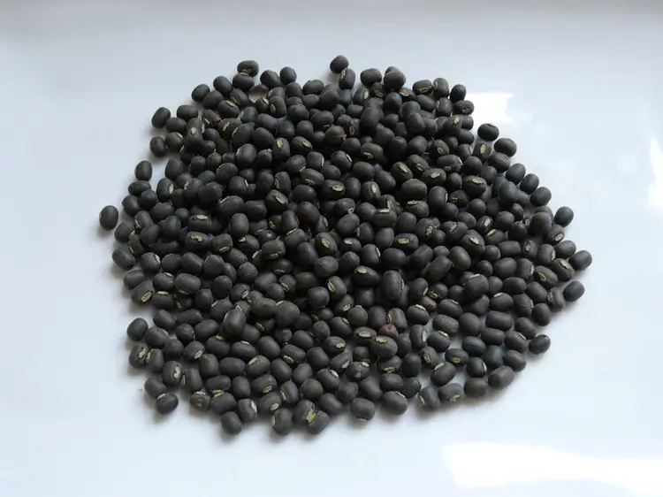 Black Urad Dal