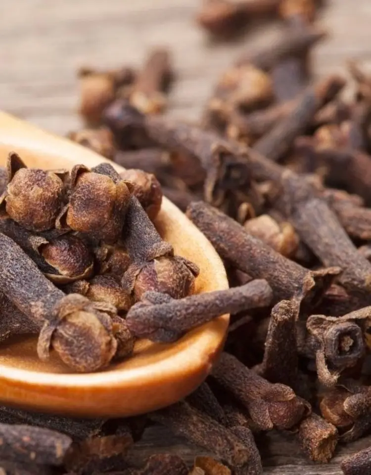Cloves